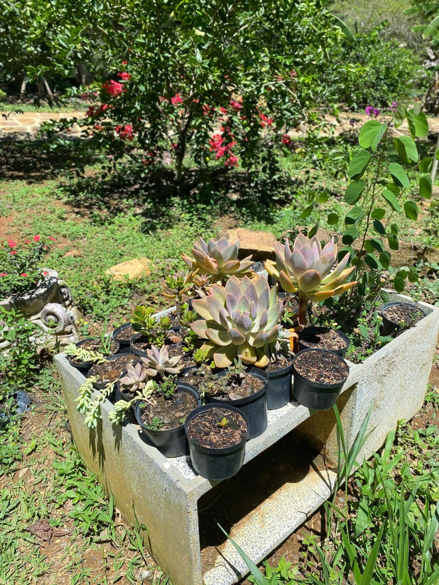 Hostal Villa San Rafael Barichara Bagian luar foto